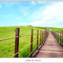 한우목장 이미지