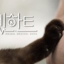 하트펫 동물병원 이미지