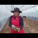 정귀숙 팜&마켓매거진