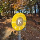 수원팔색길 효행길 | 수원 트레킹 코스: 수원팔색길 여우길, 광교 가볼만한 곳