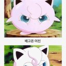 제주건강과 성 박물관 이미지
