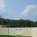 위클라드애견풀빌라 | 반려견이 더 좋아한 숙소 🐶 경주 위클라드 애견 풀빌라 내돈내산 리뷰