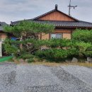 다솜차반 이미지