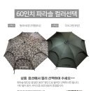 그린레져 이미지