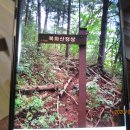 무릉도원면-9 이미지