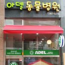 아델동물병원 이미지