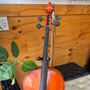 칠전대우아파트 이미지