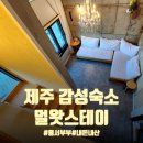 씨유 제주귀덕점 | 조용히 쉬기 좋은 제주 감성 숙소ㅣ멀왓스테이 복층 왓3호 솔직 숙박후기