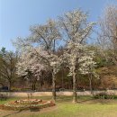 낙성대공원 이미지