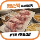 루비통돼지 | 정발산역 고기집 "루비통돼지" 방문후기