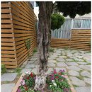 유달산의 아침 이미지