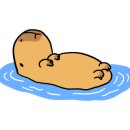 하루방돌판구이창원 이미지