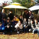 가평연리지 이미지