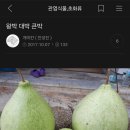 박**