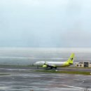 제주하다 이미지