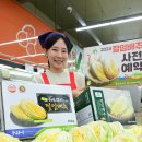 조공화원 이미지