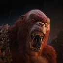 고질라×콩 뉴엠파이어 이미지