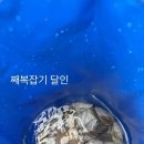 금진민박 이미지