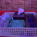 별밤포차(화정점) 네이버블로그