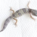 유라운드 이미지