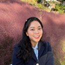 압록 | 전남 곡성 핑크 뮬리 스팟 “카페 압록” 내돈내산 후기