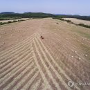 제동농장 이미지