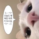 차앤유의원 이미지