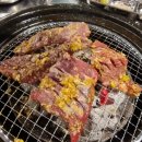 검은소새끼 이미지