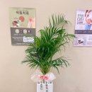 금손마디한의원 이미지