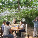 송암리 농장 이미지