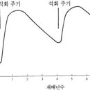 석회 이미지