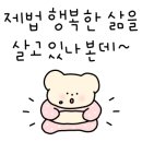 봉구스밥버거과학대점 이미지
