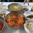 울릉도 + 독도