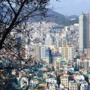 초장중학교 이미지