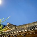 호스텔 바닐라 1 이미지