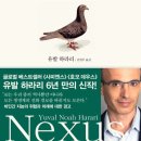 넥서스