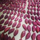 철원고구마 이미지