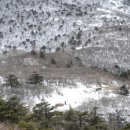 당골2 이미지