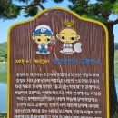 용추관광안내소 | 제천여행 「의림지」 수변데크길, 「용추폭포」 풍경 (2025년 08월) 가볼만한 곳