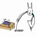 정가담기정떡 - 서구 구봉산북로 165 | 정가담기정떡