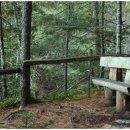 화이팅한의원 이미지