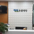 배선생펫스토리동물병원