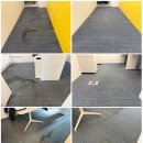 소로3-70 | 회의실 바닥카펫청소, 얼룩부터 냄새 제거까지 완벽한 세척 시스템 (도시바 코리아) - 중구 을지로