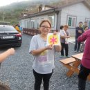 청도그린나래캠핑장 이미지