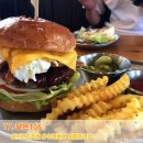 충청북도 보은군 보은읍 삼산로 18 이미지