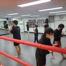 한국 체육관 이미지