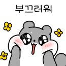 녹트