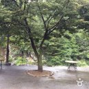 동활 이미지