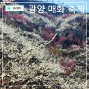 국내 봄꽃축제 광양 매화 마을 홍쌍리 청매실농원 봄나들이 실시간 트레킹 코스 (ft.승우여행사)