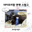 휴먼앤팜 | [후기] 네이트리팜 앤펫 스텝고